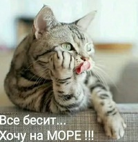Ольга Мальцева