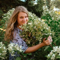 Елена Любимова