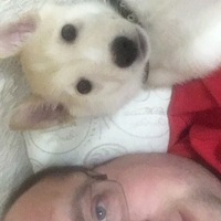 Александр Новиков