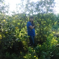 Ирина Алфёрова