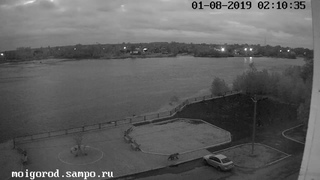медведь в Беломорске