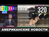 CSBSVNNQ - Американские новости #320 Выпуск от 18.05.2020