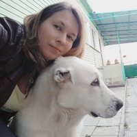 Елена Матвеева