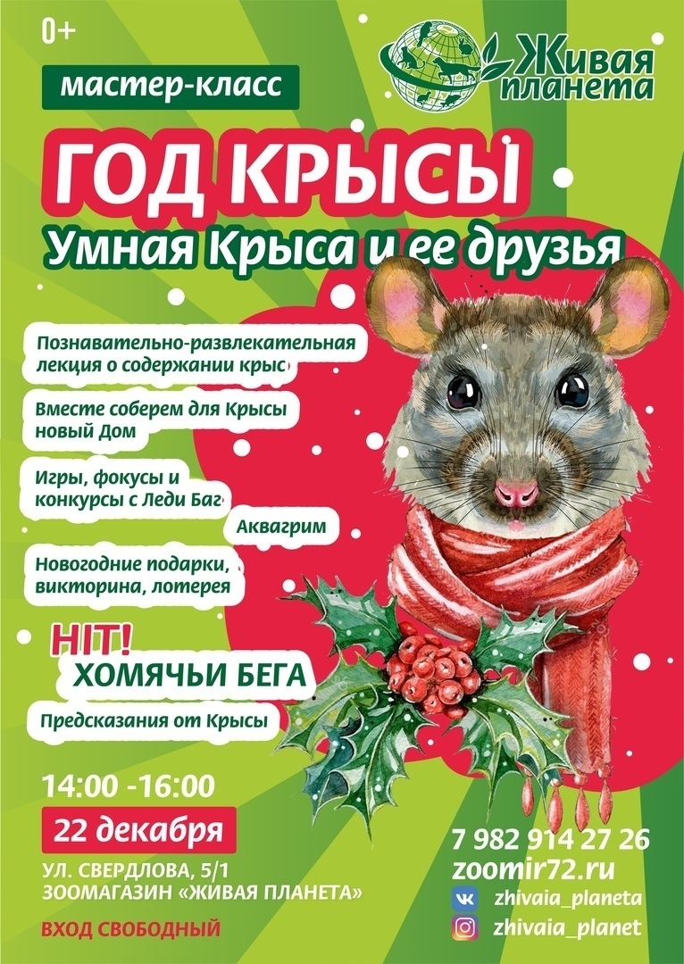 Куда сходить с детьми в Тюмени 21 и 22 декабря, изображение №26