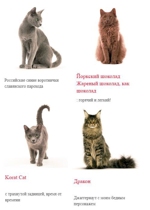 https://sun9-5.userapi.com/c858324/v858324945/65930/SyeGzzlYYc4.jpg