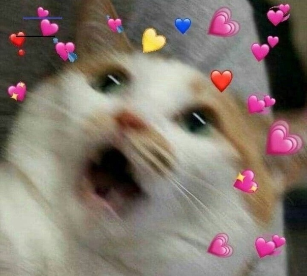 Карина Кирьякова, Россия, Феодосия