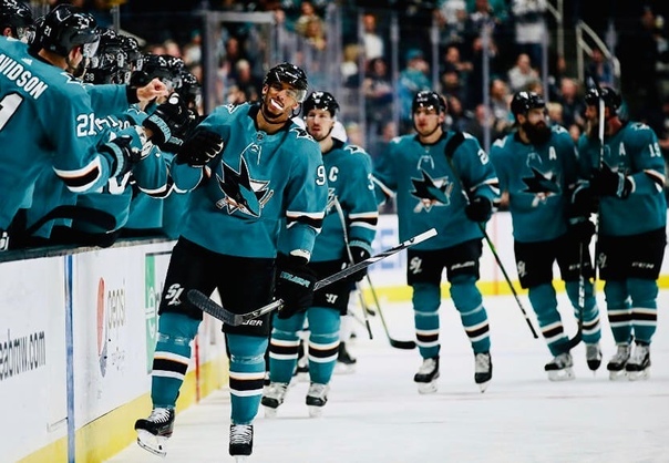 сан хосе шаркс. команда сан хосе шаркс. сан-хосе шаркс америка. рхл 16 мод san jose sharks. сан хосе шаркс матчи.