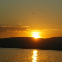 Елена Жукова