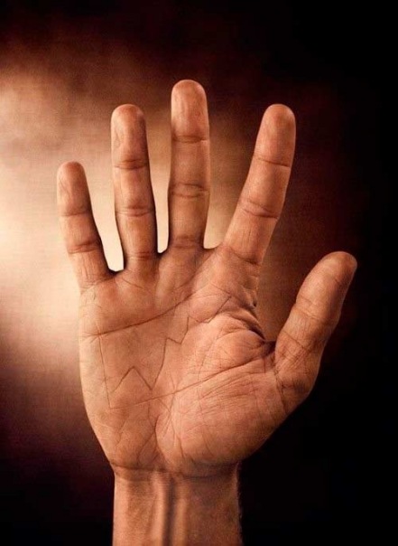 №53, Кирилл Гость, 12.05, Донецк №53, Кирилл Гость, 12.05, Донецк