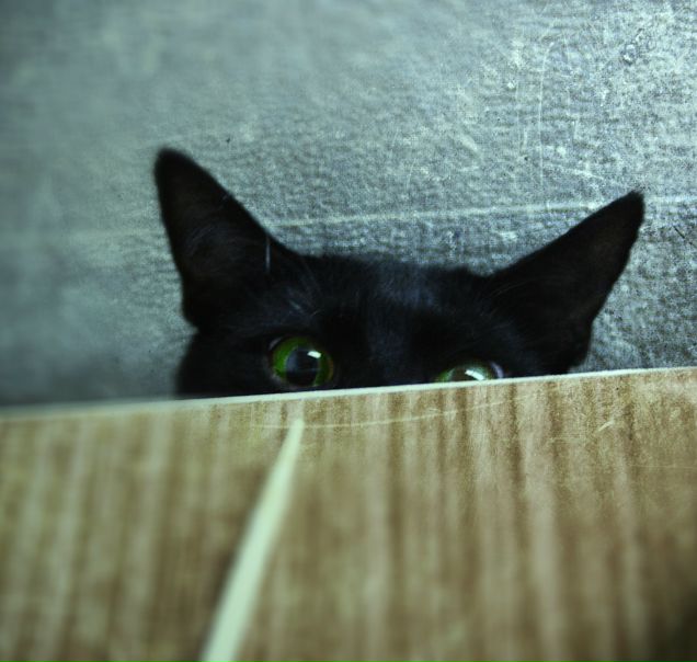 №120, Полина Долбина, Казань №120, Полина Долбина, Казань