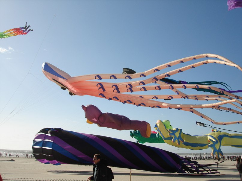 Anna Makerova | Paris