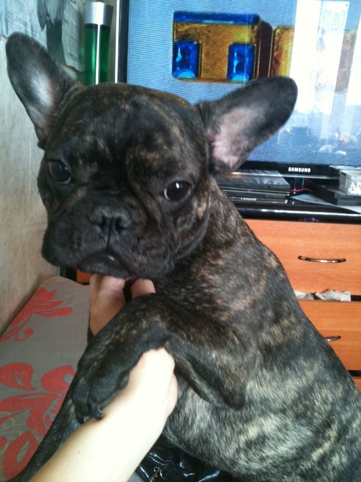 Мария Свинобоева ¤ ШУКУМАШКА ¤ | Якутск