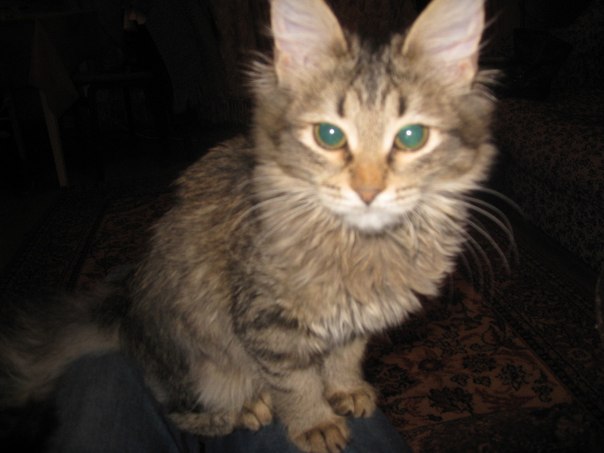 №100, Лейсан Шакирова, Нижнекамск №100, Лейсан Шакирова, Нижнекамск