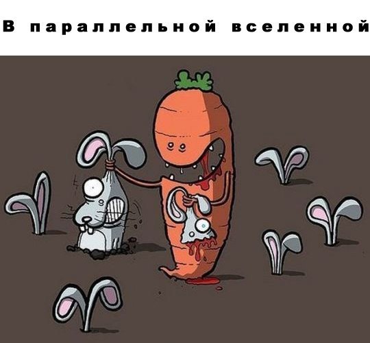 Эльвира Серазетдинова | Казань