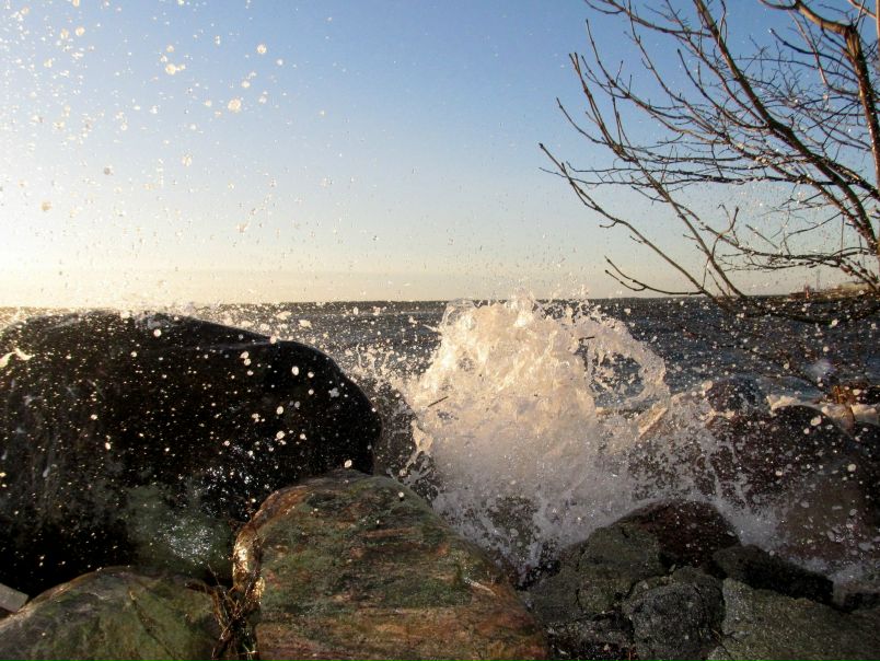 №3, Андрейс Русиновскийс, 34 года, Таллин №3, Андрейс Русиновскийс, 34 года, Таллин