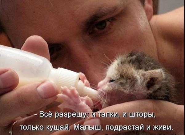 №12, Елена Богданова №12, Елена Богданова