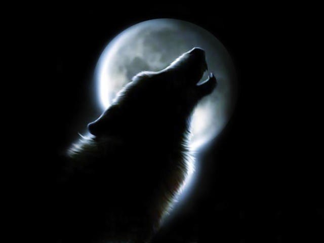 Сергей Тащин | Новороссийск