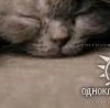 №111, Олюся Двигун, 124 года №111, Олюся Двигун, 124 года