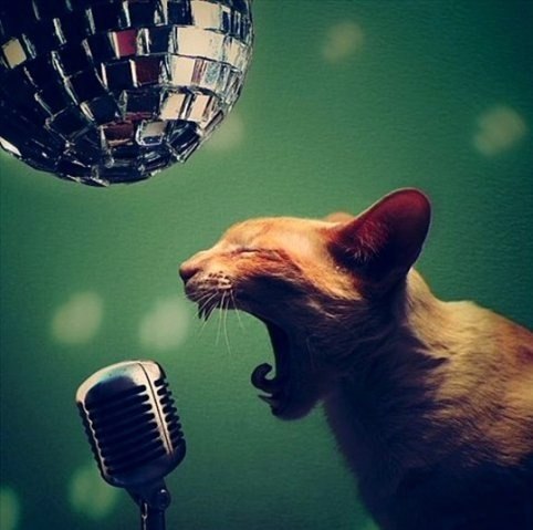 №129, Александр Бобиков, 34 года, Минск №129, Александр Бобиков, 34 года, Минск