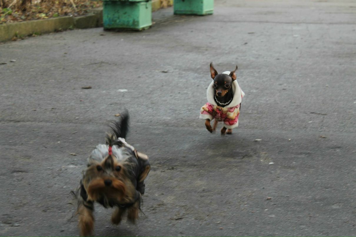 Sergei Solodovnikov | Казань