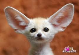 Викулька Буранчикова | Ярославль