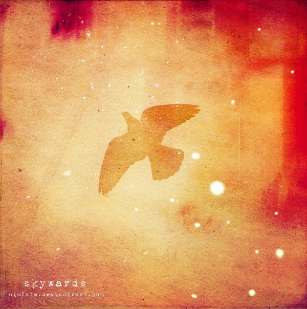 №21, Елена Лисичкина, 46 лет, Житомир №21, Елена Лисичкина, 46 лет, Житомир