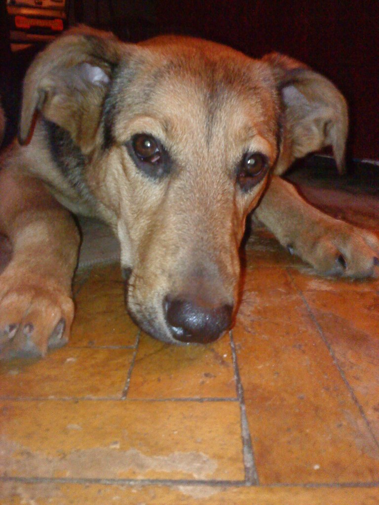 Татьяна Листратова | Москва