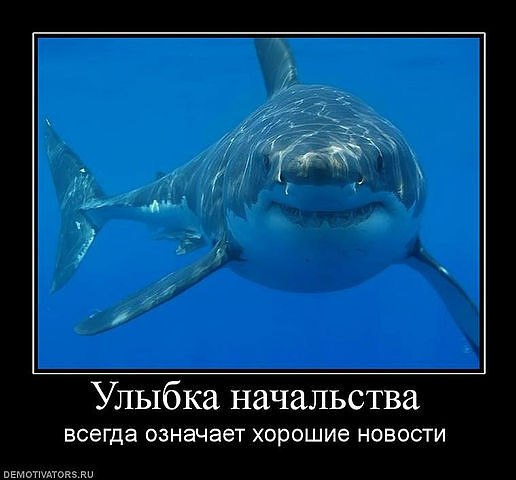 Ирина Трещенко | Красноярск