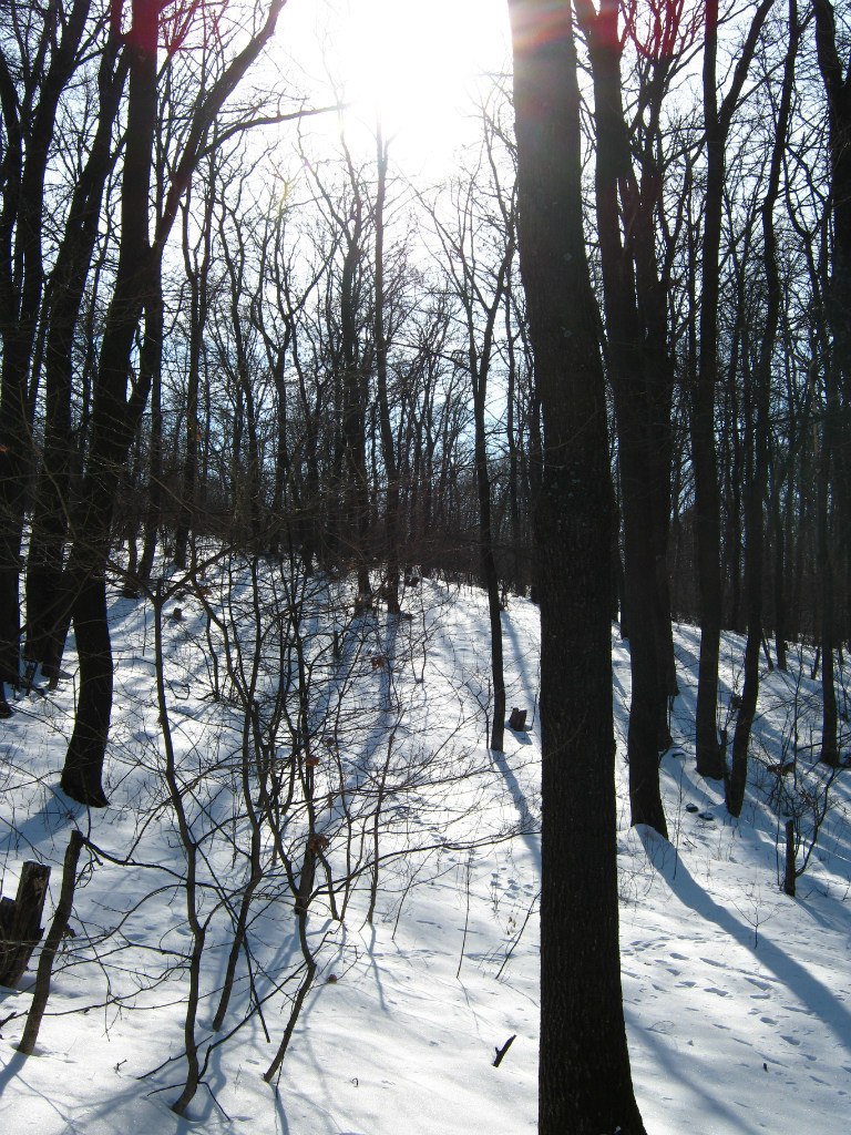 Влад Владимиров | Москва