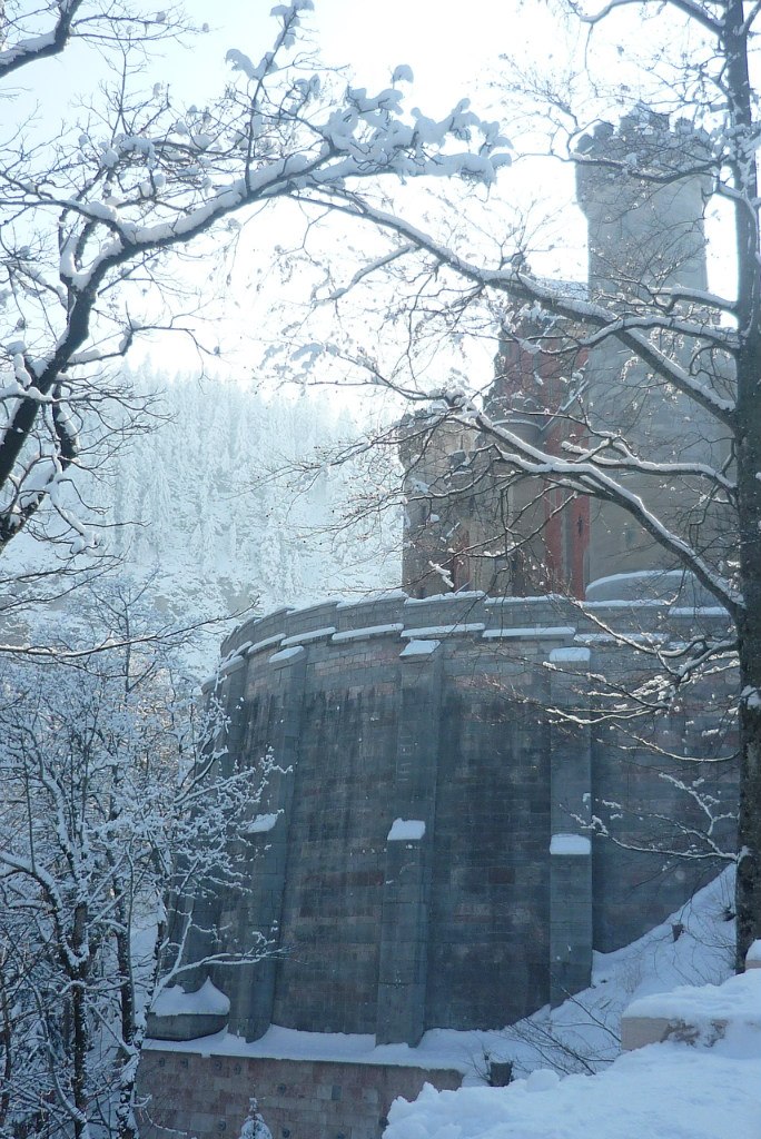 Марина Кругленёва | Новосибирск