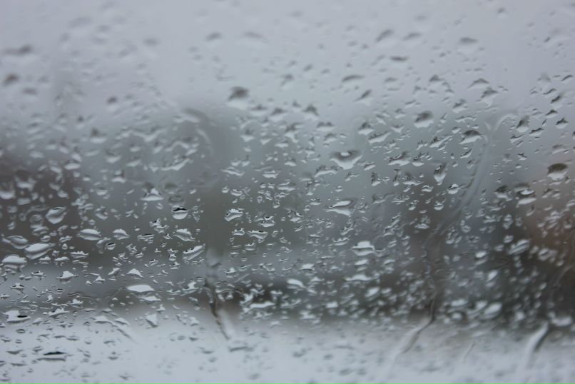 Дмитрий Ледяев | 