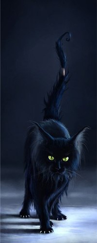 Анна Белемук | Санкт-Петербург