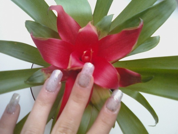 №107, Мария Фролова №107, Мария Фролова