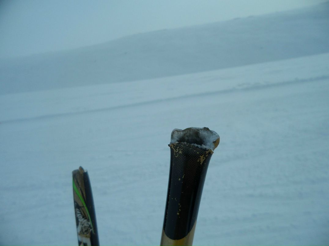 Александр Акулевич | Санкт-Петербург