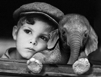 Сергей Чириков | Рязань