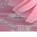 №8, Ленуська Богданова, Липецк №8, Ленуська Богданова, Липецк