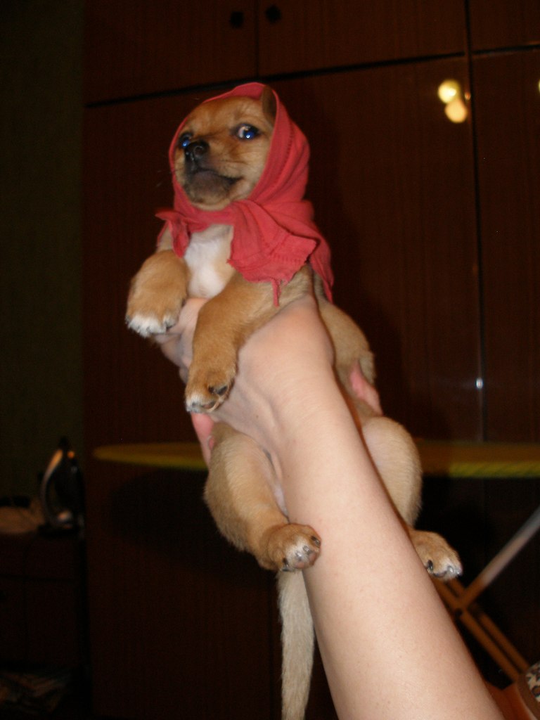 Ирина Колосова | 