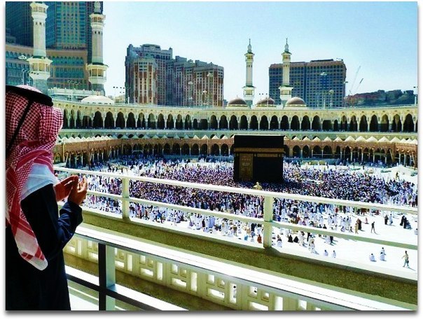 №10, Хамза Саниев №10, Хамза Саниев