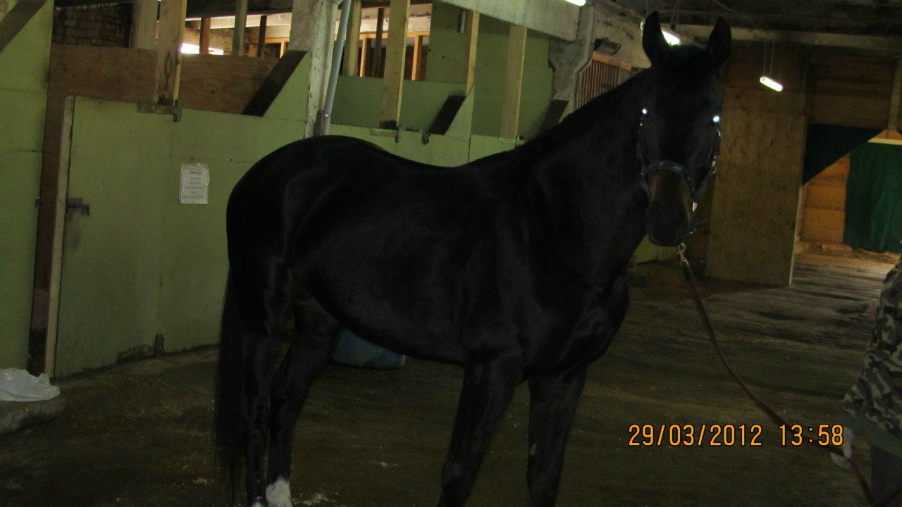 Лариса Юденкова | Санкт-Петербург