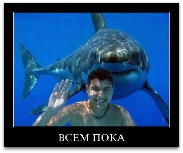 Алексей Николаев | Санкт-Петербург