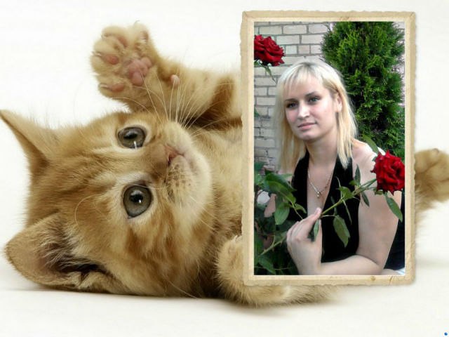 Юлия Рыбак | Николаев