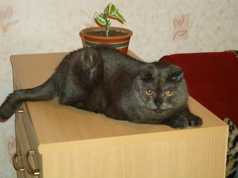 Лариса Шлямина | Пудож