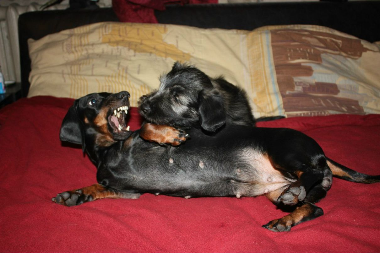 Ангелина Сартакова | Санкт-Петербург