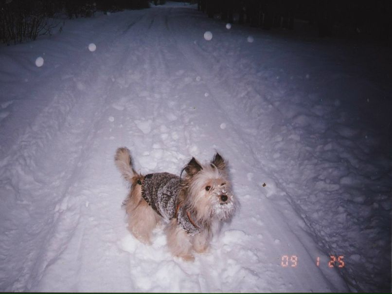 Елена Назарова | Надвоицы (пгт)