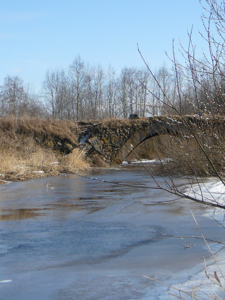 Алексей Карелидзе | Санкт-Петербург