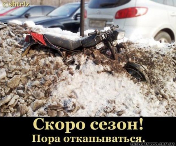 №1, Александр Притаманный, Киев №1, Александр Притаманный, Киев