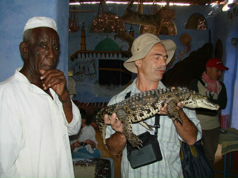 Елена Ткачик | Москва