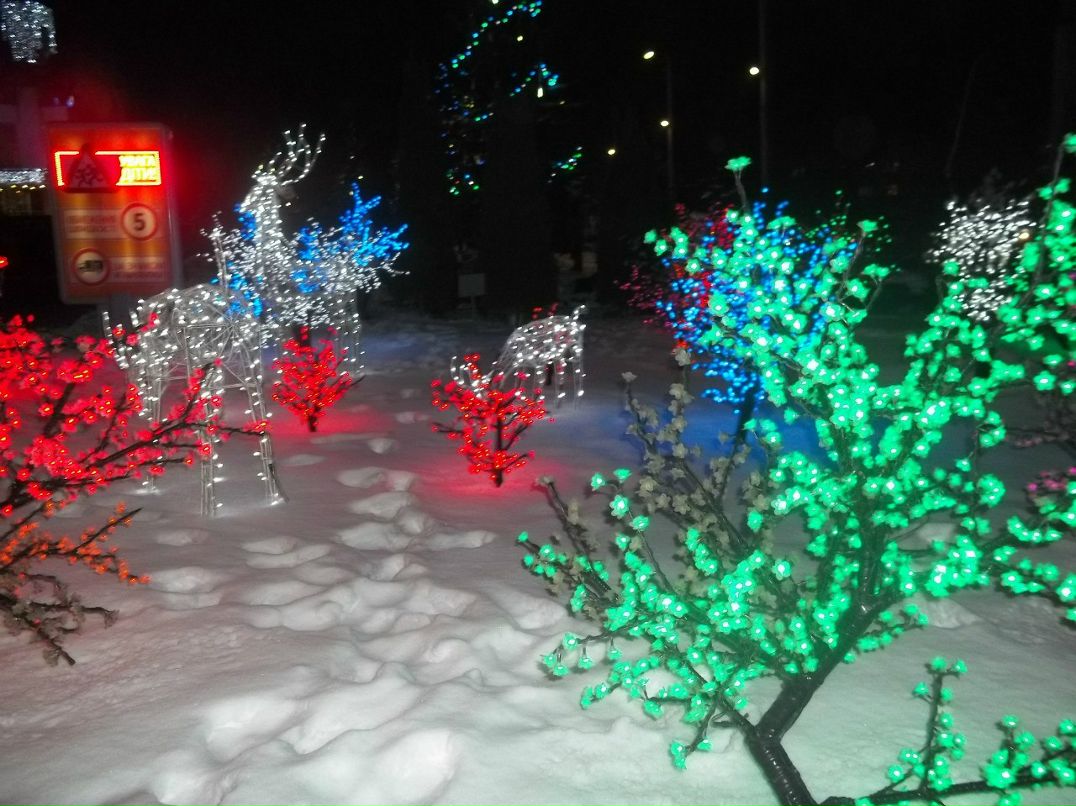 Вова Лобур Андрійович | Тернополь