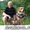 Аватар: Алексей Зайцев