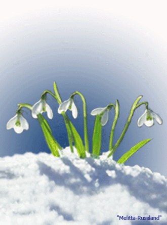 Лидия Сорокивская | Одесса